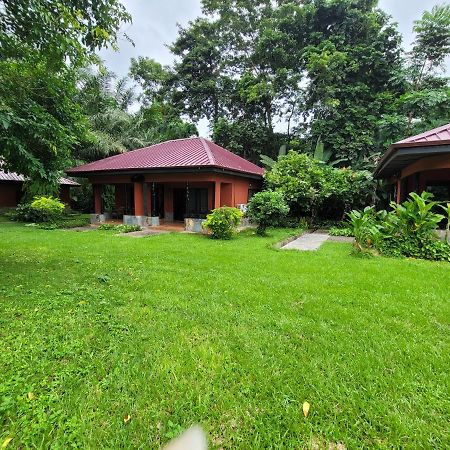 Big Foot Safari Lodge Wli Afegame Zewnętrze zdjęcie