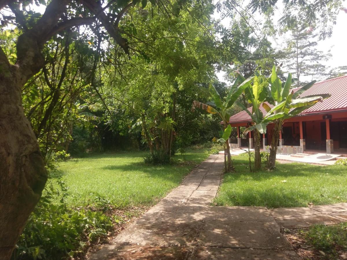 Big Foot Safari Lodge Wli Afegame Zewnętrze zdjęcie