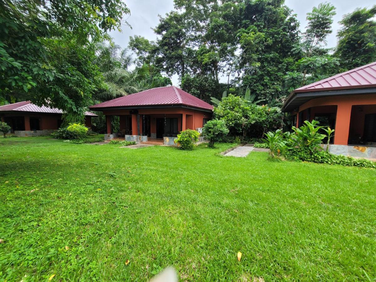 Big Foot Safari Lodge Wli Afegame Zewnętrze zdjęcie